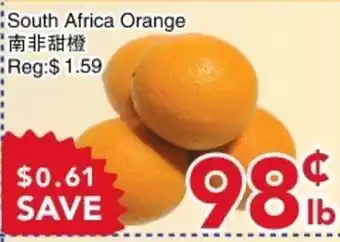 Yours Food Mart South Africa Orange offer
