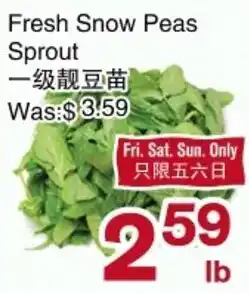 First Choice Supermarket Fresh Snow Peas Sprout offer