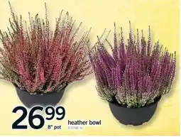 Fortinos heather bowl offer