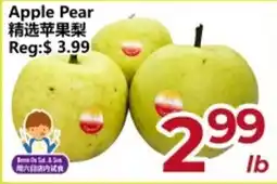 Asian Food Centre Apple Pear offer