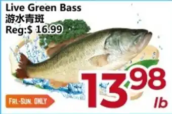 Asian Food Centre Live Green Bass offer