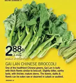 Fortinos Gai Lan Chinese Broccoli offer