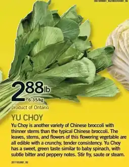 Fortinos Yu Choy offer
