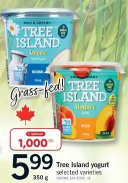 Fortinos Tree Island yogurt offer