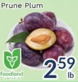 Oceans Fresh Food Market Prune Plum offer