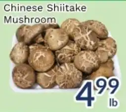 Oceans Fresh Food Market Chinese Shitake Mushroom offer