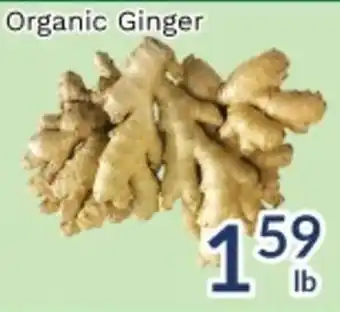 Organic Ginger