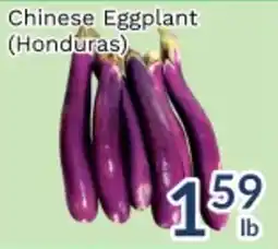 Oceans Fresh Food Market Chinese Eggplant offer