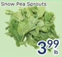 Oceans Fresh Food Market Snow Pea Sprouts offer