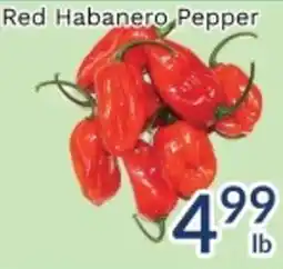 Oceans Fresh Food Market Red Habanero Pepper offer