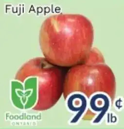 Oceans Fresh Food Market Fuji Apple offer