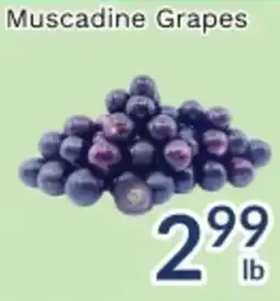 Oceans Fresh Food Market Muscadine Grapes offer