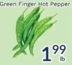 Oceans Fresh Food Market Green Finger Hot Pepper offer