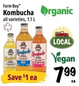 Farm Boy Farm Boy Kombucha offer