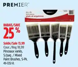 Canadian Tire Premier paint brushes offer