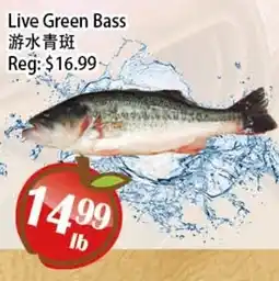 Food Depot Supermarket Live Green Bass offer
