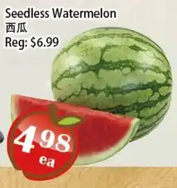 Food Depot Supermarket Seedless Watermelon offer