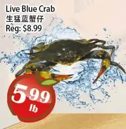 Food Depot Supermarket Live Blue Crab offer