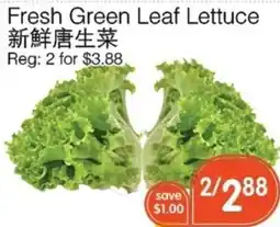 Kings Fair Supermarket Fresh Green Leaf Lettuce offer