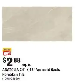 Home Depot Anatolia 24" x 48" Vermont Oasis Porcelain Tile offer