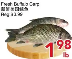 Yours Food Mart Fresh Buffalo Carp offer