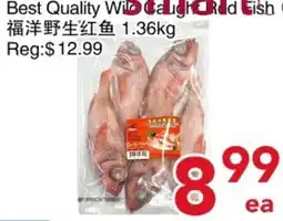 Yours Food Mart Wild Caught Red Fish offer