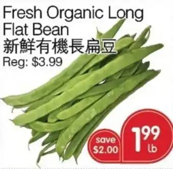 Fresh Organic Long Flat Bean