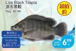 Kings Fair Supermarket Live Black Tilapia offer