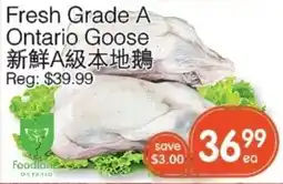 Kings Fair Supermarket Foodland Ontario Fresh Grade A Ontario Goose offer