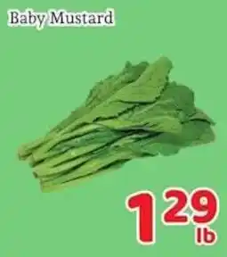 Fresh Value Baby Mustard offer