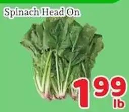 Fresh Value Spinach Head On offer