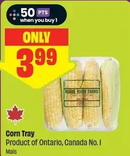 FreshCo Corn Tray offer
