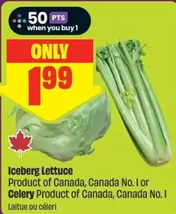 FreshCo Iceberg Lettuce offer