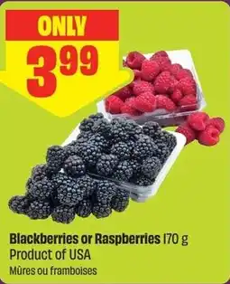 FreshCo Blackberries or Raspberries offer