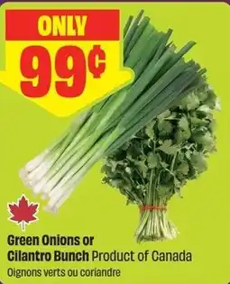 FreshCo Green Onions or Cilantro Bunch offer