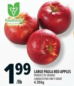 Metro Foodland large paula red apples offer