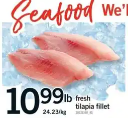 Fortinos fresh tilapia fillet offer