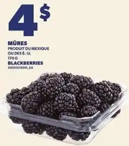 Provigo Blackberries offer