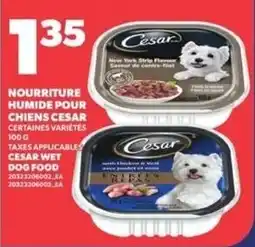 Provigo Cesar wet dog food offer