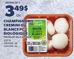 Provigo Organic White Champignons offer