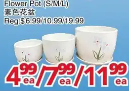 Yours Food Mart Flower Pot offer