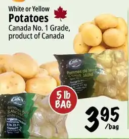 Farm Boy Potatoes offer