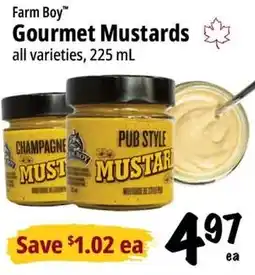 Farm Boy Farm Boy Gourmet Mustards offer