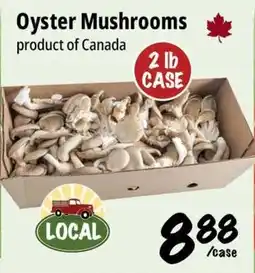 Farm Boy Oyster Mushrooms offer