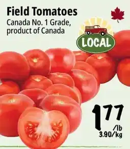 Farm Boy Field Tomatoes offer