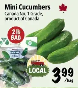 Farm Boy Mini Cucumbers offer