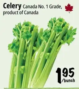 Farm Boy Celery offer