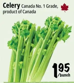 Farm Boy Celery offer