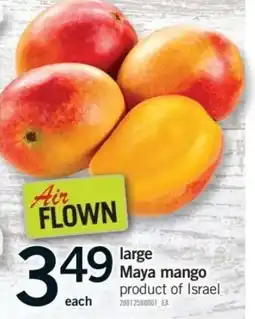 Fortinos Air Flown maya mango offer