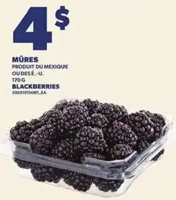Provigo Blackberries offer